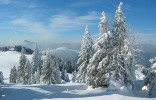 Meteorologická jar začala najchladnejším ránom! Meteorologická jar začala najchladnejším ránom!